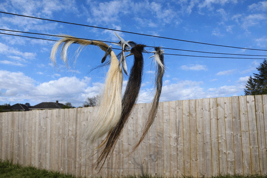 Horse hair drying on a washing line with a blue sky background and garden fence