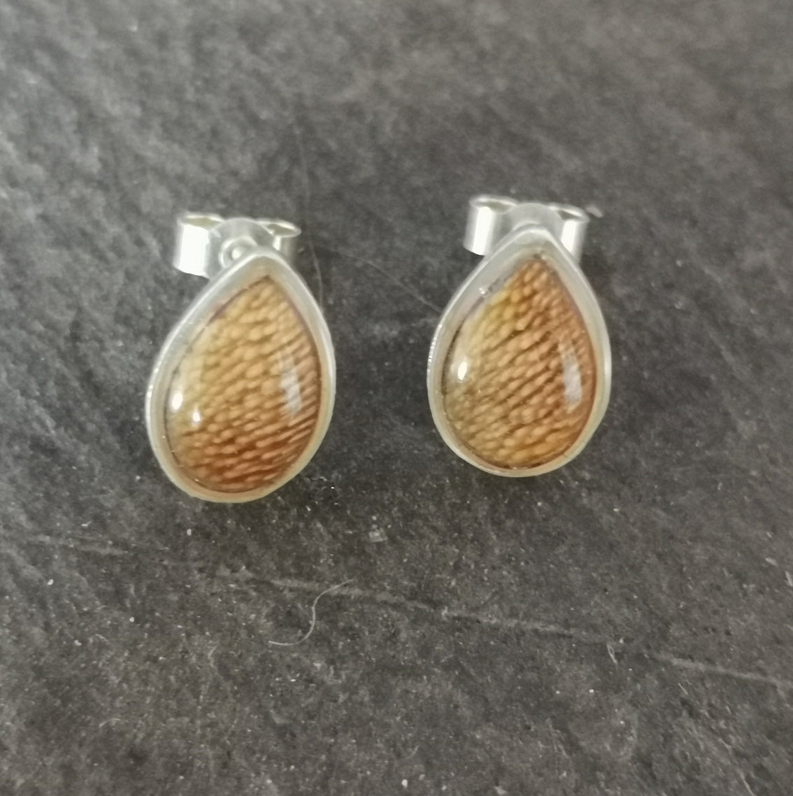 Hoof Stud Earrings