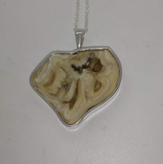 Horse Tooth Wrap Pendant