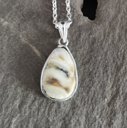 Polished and Shaped Horse Tooth Pendant